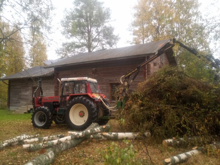 Pihapuun kaato ja pieni metsätyö pihapiirissä